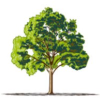 Stöckl Gartenbau logo - Similar company to Seiler Gärten Ag