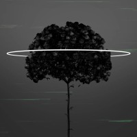 Bakodun Game Studios logo - Similar company to Anisoft Group