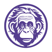 AInstein logo - Similar company to Ai-Mate
