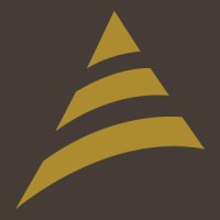 Brace Integrated Services