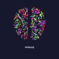 Test IQ Internacional logo - Similar company to Iq Test Labs