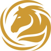 APPALOOSA SEGURIDAD Y EVENTOS logo - Similar company to Eventos Is Madrid