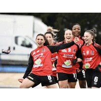RACING CLUB ROUBAIX WERVICQ FÉMININ logo - Similar company to Camden Bar Lille