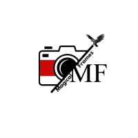 Magical Frames logo - Similar company to Magical Frames Vfx Studio