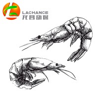 Lachance Nutrición acuática logo - Similar company to Y