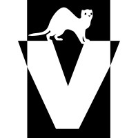 Ferretvideo.com logo - Similar company to Flawless Fun Co.