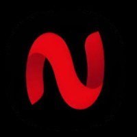 NetMirror APK logo - Similar company to Netmirror