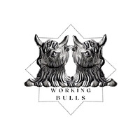 WBulls Human Resources Ltd.