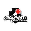 Gigante Da Colina logo - Similar company to Firstclass