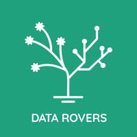 Data Rovers logo - Similar company to Datarovers