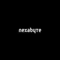 NexaByte logo - Similar company to Nexabyte It