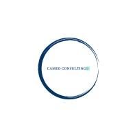 Cameo Consulting logo - Similar company to Ehr Services
