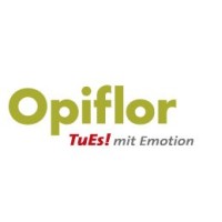 TuEs! Handelsgesellschaft mbH logo - Similar company to Opitec Handel Gmbh