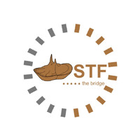 STF Capital ZW logo - Similar company to Acloudz.Ai