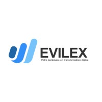 Wevilex logo - Similar company to Ge2M Services