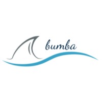 Bumba Games logo - Similar company to Optilog