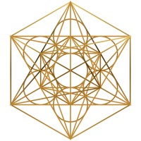 Starseed logo - Similar company to Accelerated Books