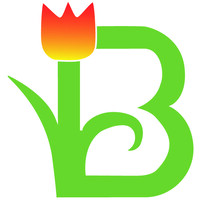 Bloomfield Homes logo - Similar company to Shaddock Homes