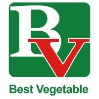 BEST VEGETABLE FOODSTUFF CO., LTD. logo - Similar company to 台州高纬机械有限公司