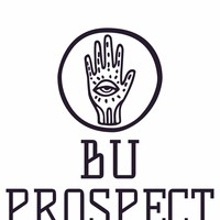 BU-PROSPECT logo - Similar company to Aurelis Consulting