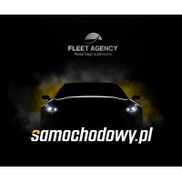 samochodowy.pl logo - Similar company to Wecol Ltd
