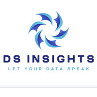 DS Insights logo - Similar company to Scubes Management Consulting Llp