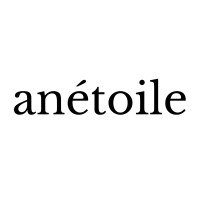 Anétoile logo - Similar company to Winmek