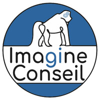 Imagine Conseil - Junior de Génie industriel logo - Similar company to Bureau Des Sports - Mines De Saint-Etienne