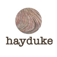Hayduke logo - Similar company to Dc1 Digital Consulting Group Gmbh