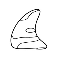The Wild Orca Co logo - Similar company to Payment Box