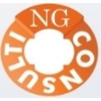 NG Consulting SRL logo - Similar company to Ng Consulting