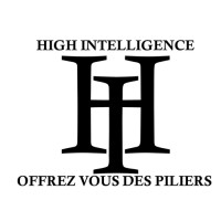 HIGH INTELLIGENCE SARL logo - Similar company to Telway