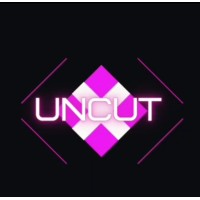 Uncut: Literary Society of VSBS,VIPS logo - Similar company to Standard Impossible
