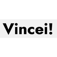 Vincei logo - Similar company to Technosoft Informatics Ltd