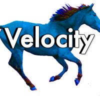 Velocity Innovation