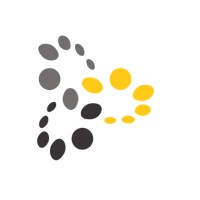DataRitz Technologies logo - Similar company to M/S Shadow Solutions
