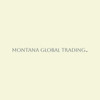 Montana Global Trading logo - Similar company to Locasyo - Yerel Seo Aracı
