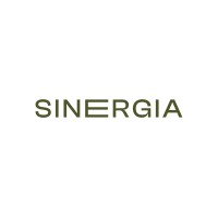 Sinergia Constructora logo - Similar company to Desempeño Estructural