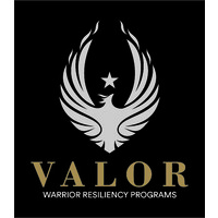 Valor Resiliency logo - Similar company to K4