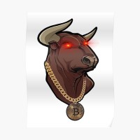 Crypto 101 logo - Similar company to Solucom D.O.O.