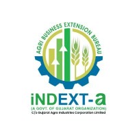 iNDEXT-a logo - Similar company to Dr Nayan Technologies