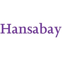 Hansabay logo - Similar company to Eracom Technologies