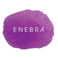 ENEBRA logo - Similar company to Green Light Go