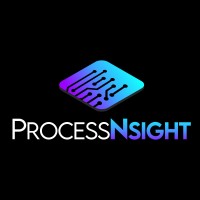 ProcessNsight logo - Similar company to Akara Solutions Gmbh