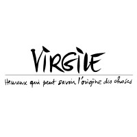 VIRGILE logo - Similar company to Safe & Clean
