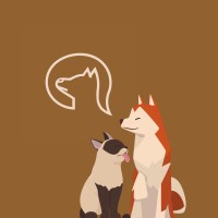 Pets Explained logo - Similar company to Pets-Ray