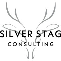 Silver Stag Consulting logo - Similar company to 5Values | Certified B Corp™
