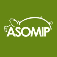 Asociación Guatemalteca de Minipig - ASOMIP