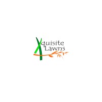 Xquisite Irrigation and Landscaping logo - Similar company to Romeiro'S Landscaping, Inc.