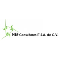 NEF CONSULTORES  IT
